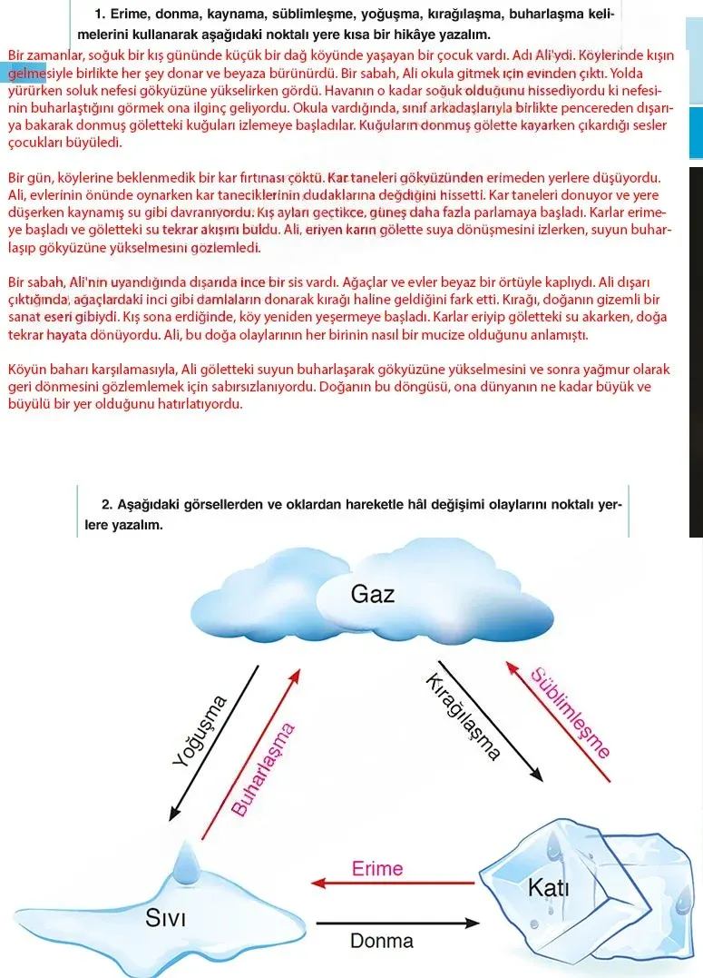 5. Sınıf Fen Bilimleri Ders Kitabı Cevapları SDR Dİkey Yayınları Sayfa 88 Çözüm Görseli