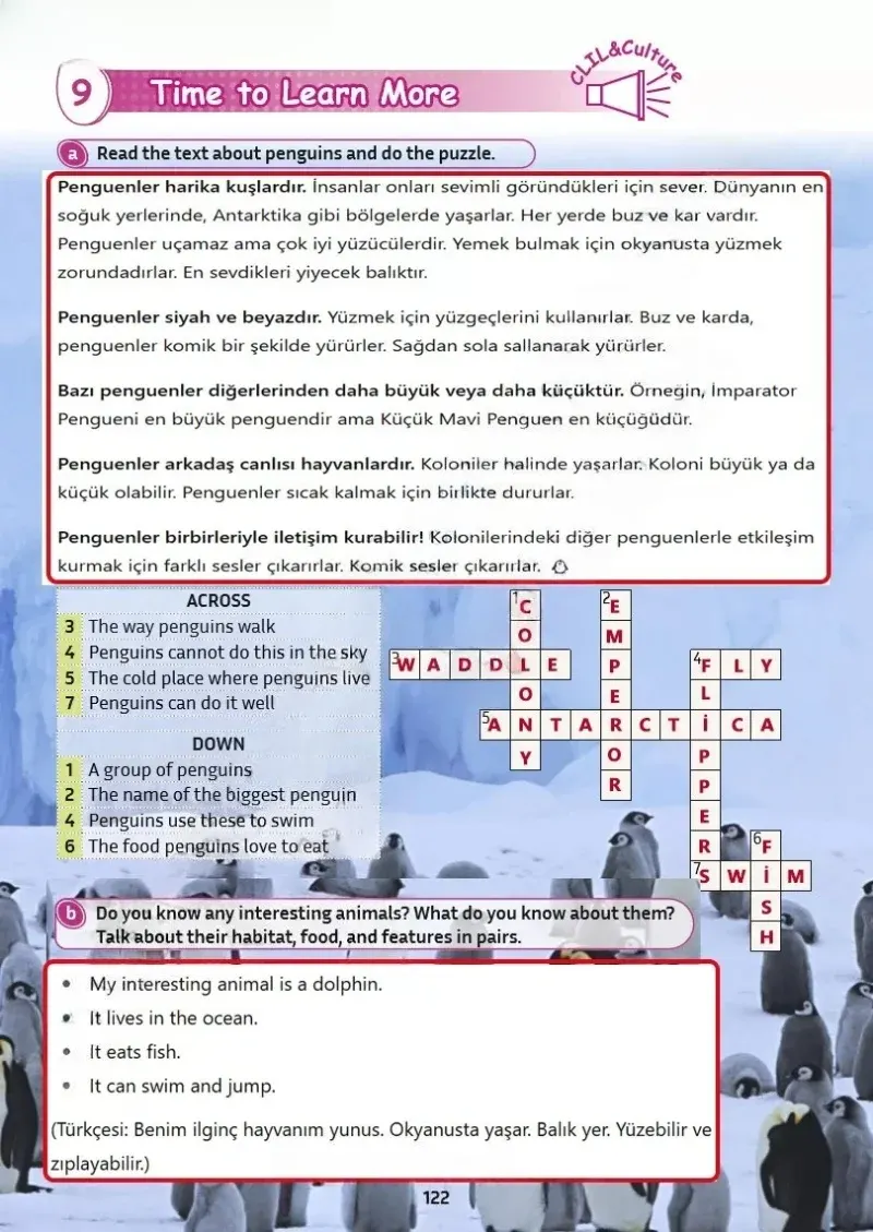 5. Sınıf İngilizce Ders Kitabı Cevapları Meb Yayınları Sayfa 122 Çözüm Görseli