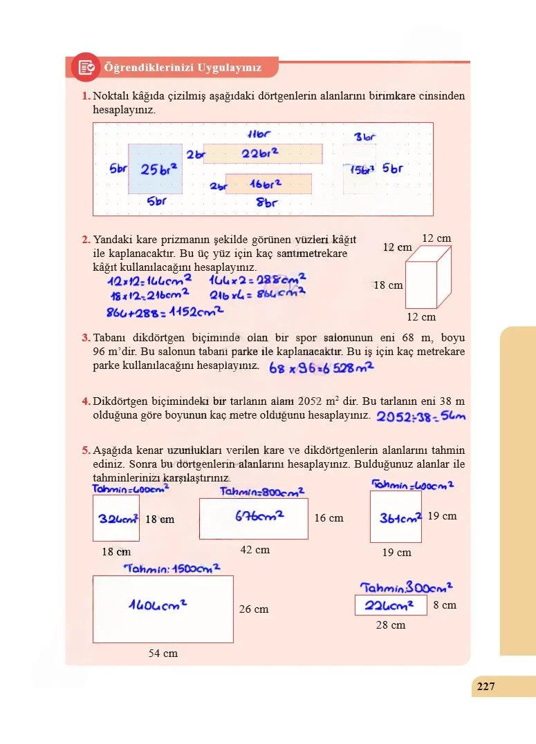 5. Sınıf Matematik Ders Kitabı Cevapları Özgün Yayınları Sayfa 227 Çözüm Görseli