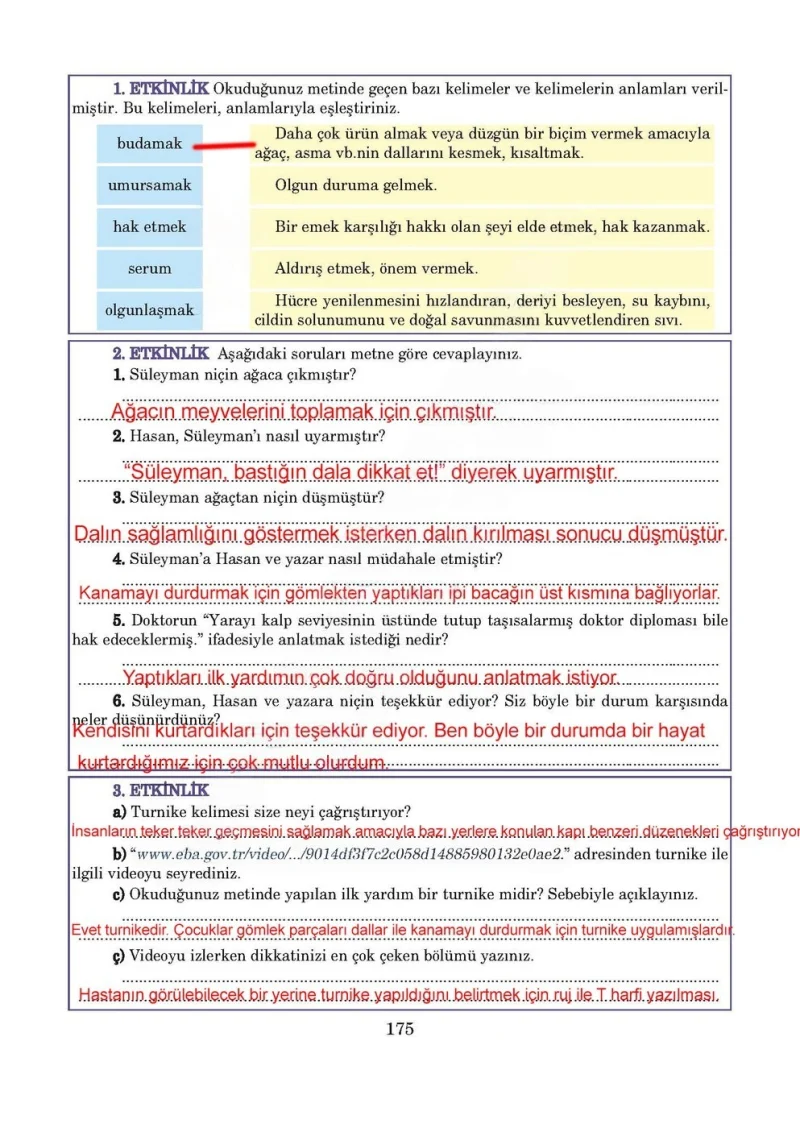 5. Sınıf Türkçe Ders Kitabı Cevapları Anıttepe Yayınları Sayfa 175 Çözüm Görseli