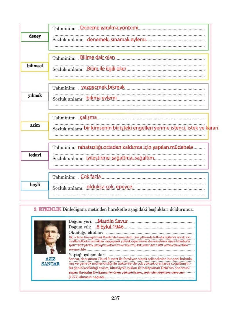 5. Sınıf Türkçe Ders Kitabı Cevapları Anıttepe Yayınları Sayfa 237 Çözüm Görseli