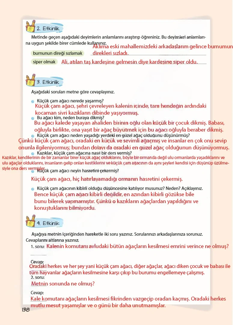 5. Sınıf Türkçe Ders Kitabı Cevapları Koza Yayınları Sayfa 138 Çözüm Görseli