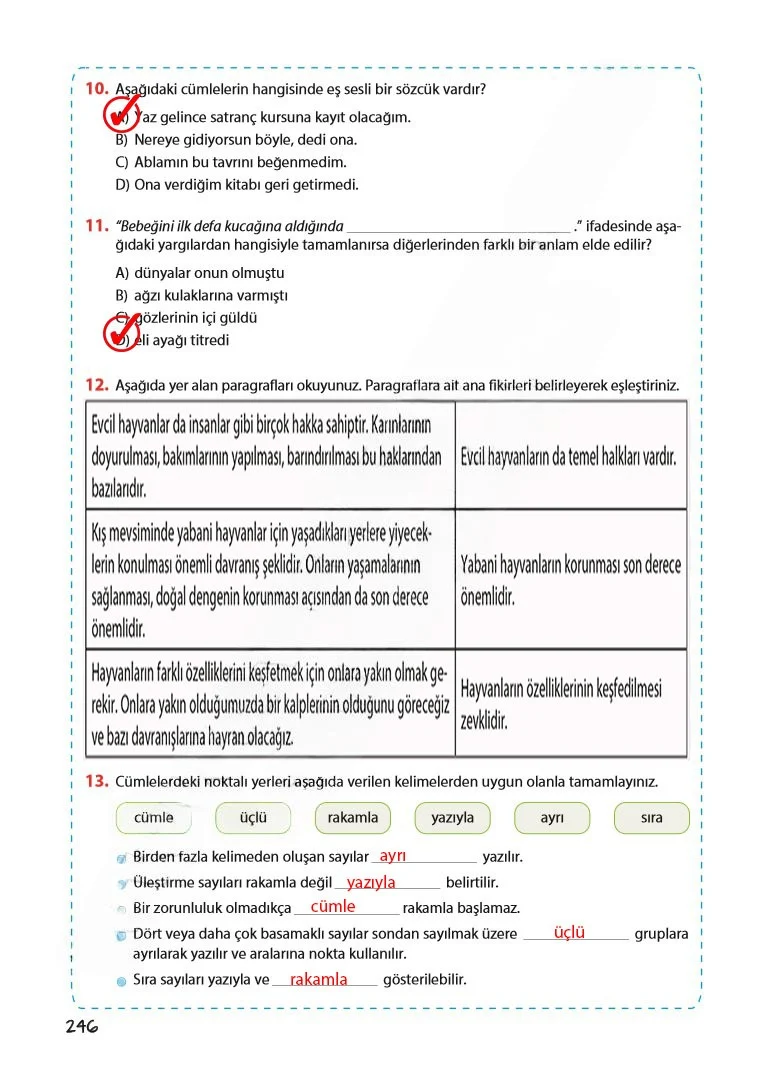 5. Sınıf Türkçe Ders Kitabı Cevapları Koza Yayınları Sayfa 246 Çözüm Görseli