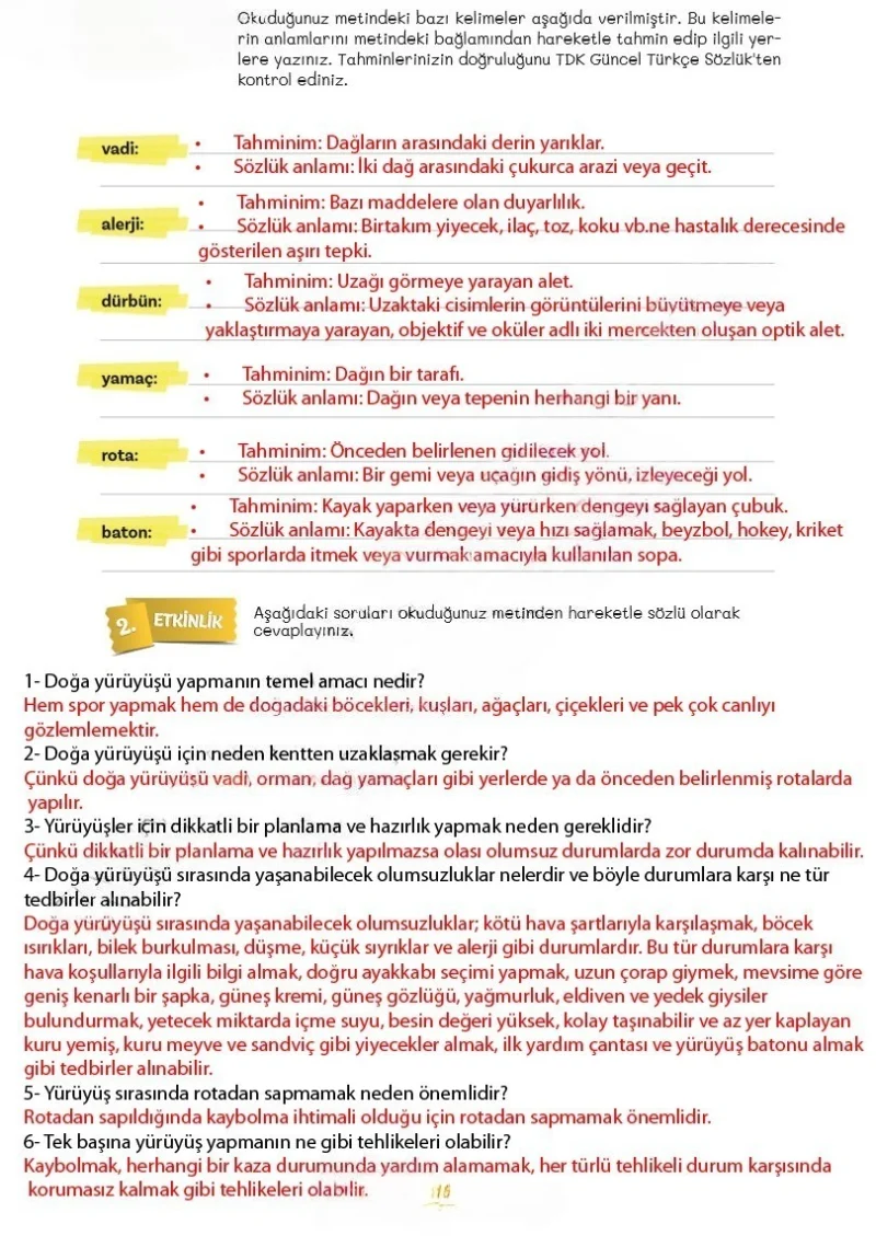 5. Sınıf Türkçe Ders Kitabı Cevapları Meb Yayınları 2. Kitap Sayfa 116 Çözüm Görseli