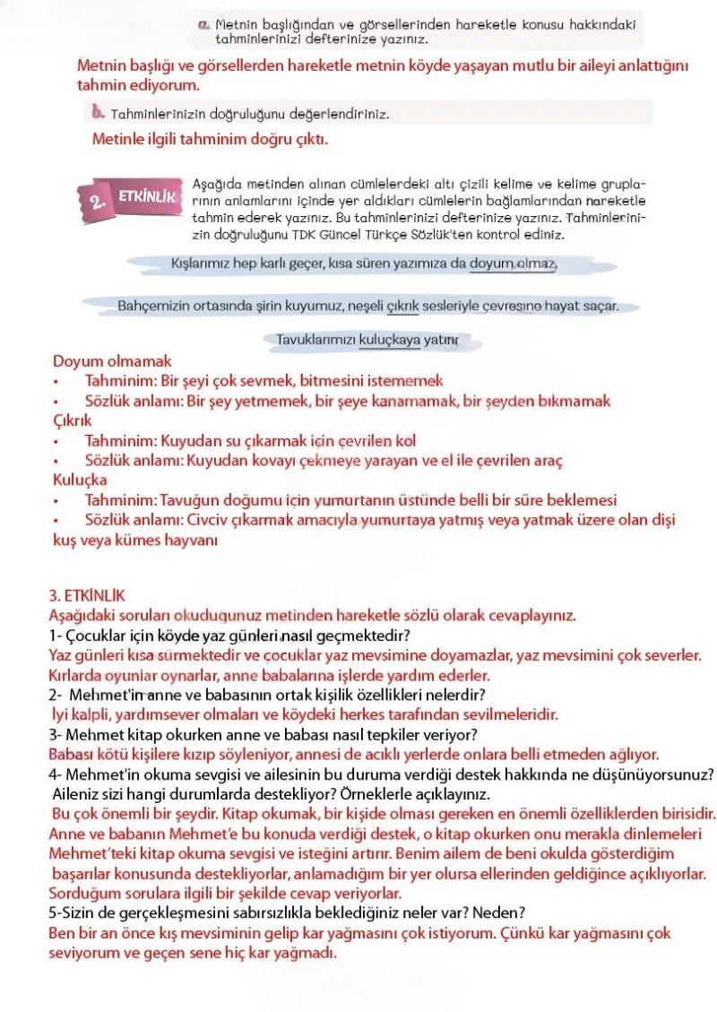 5. Sınıf Türkçe Ders Kitabı Cevapları Meb Yayınları 2. Kitap Sayfa 82 Çözüm Görseli