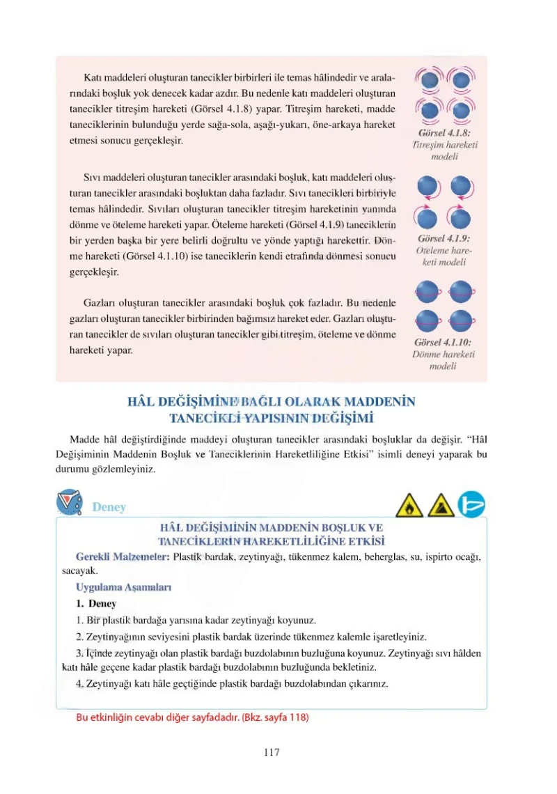 6. Sınıf Fen Bilimleri Ders Kitabı Cevapları Adım Adım Yayınları Sayfa 117 Çözüm Görseli