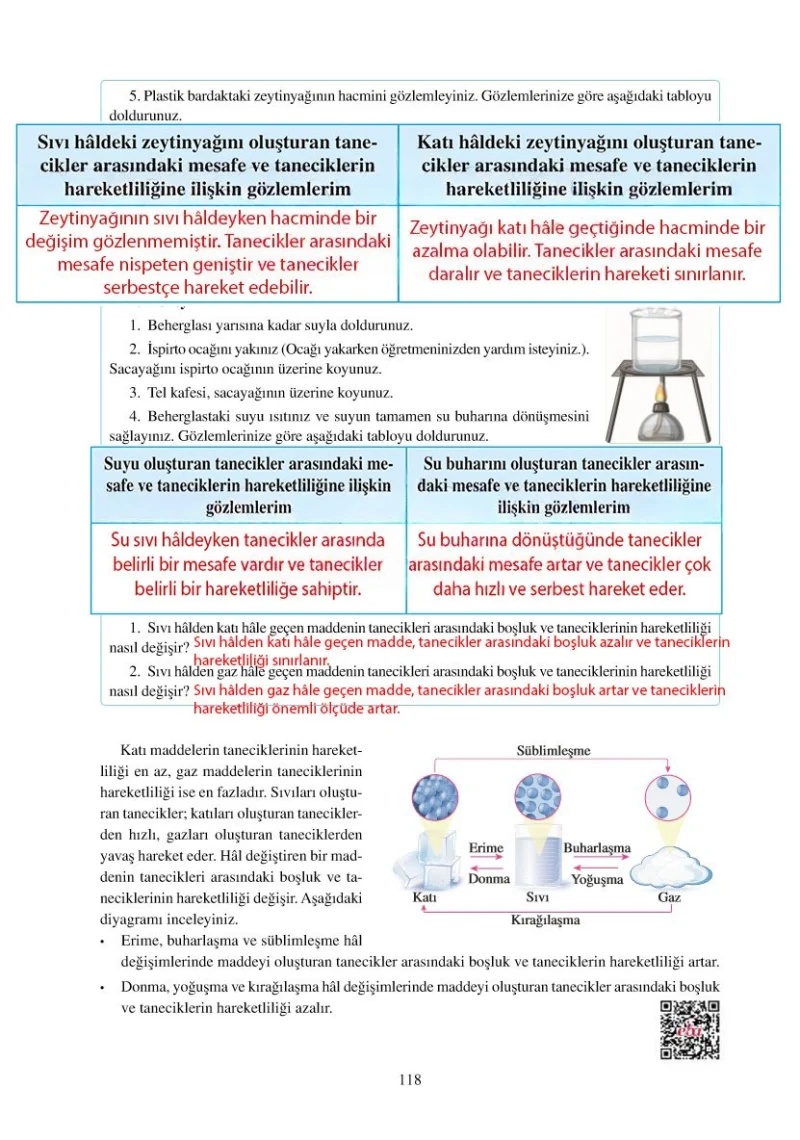 6. Sınıf Fen Bilimleri Ders Kitabı Cevapları Adım Adım Yayınları Sayfa 118 Çözüm Görseli
