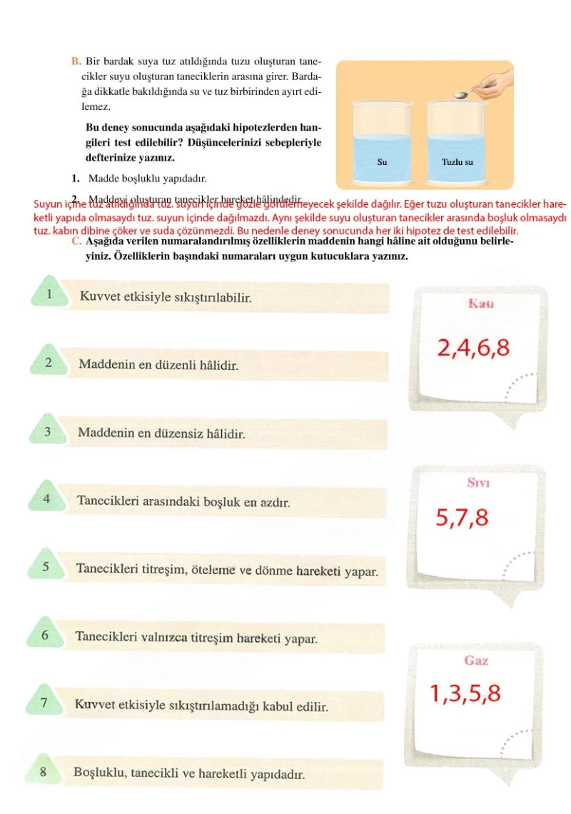 6. Sınıf Fen Bilimleri Ders Kitabı Cevapları Adım Adım Yayınları Sayfa 146 Çözüm Görseli