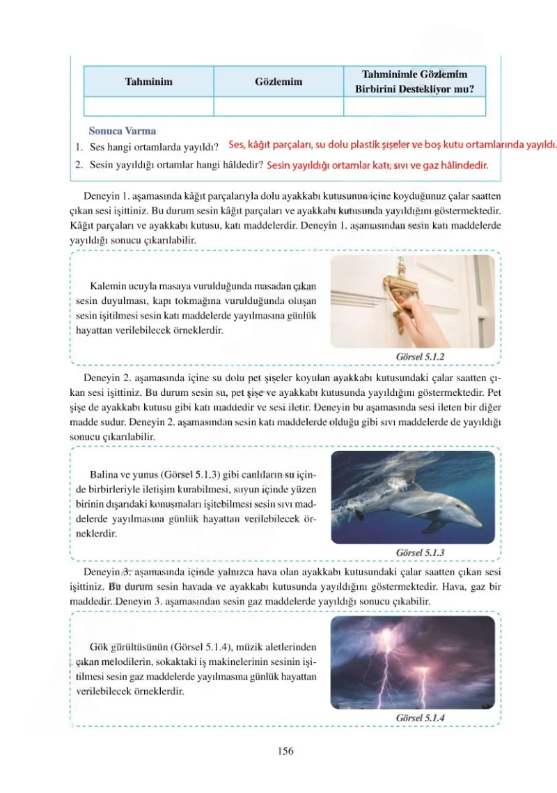 6. Sınıf Fen Bilimleri Ders Kitabı Cevapları Adım Adım Yayınları Sayfa 156 Çözüm Görseli