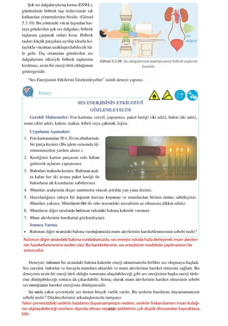 6. Sınıf Fen Bilimleri Ders Kitabı Cevapları Adım Adım Yayınları Sayfa 163 Çözüm Görseli