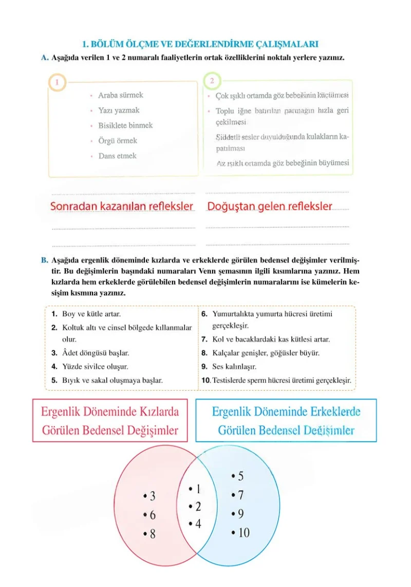 6. Sınıf Fen Bilimleri Ders Kitabı Cevapları Adım Adım Yayınları Sayfa 193 Çözüm Görseli