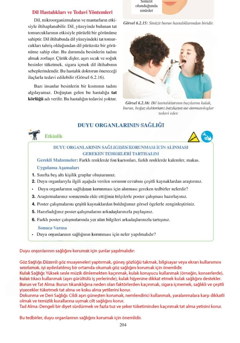 6. Sınıf Fen Bilimleri Ders Kitabı Cevapları Adım Adım Yayınları Sayfa 204 Çözüm Görseli