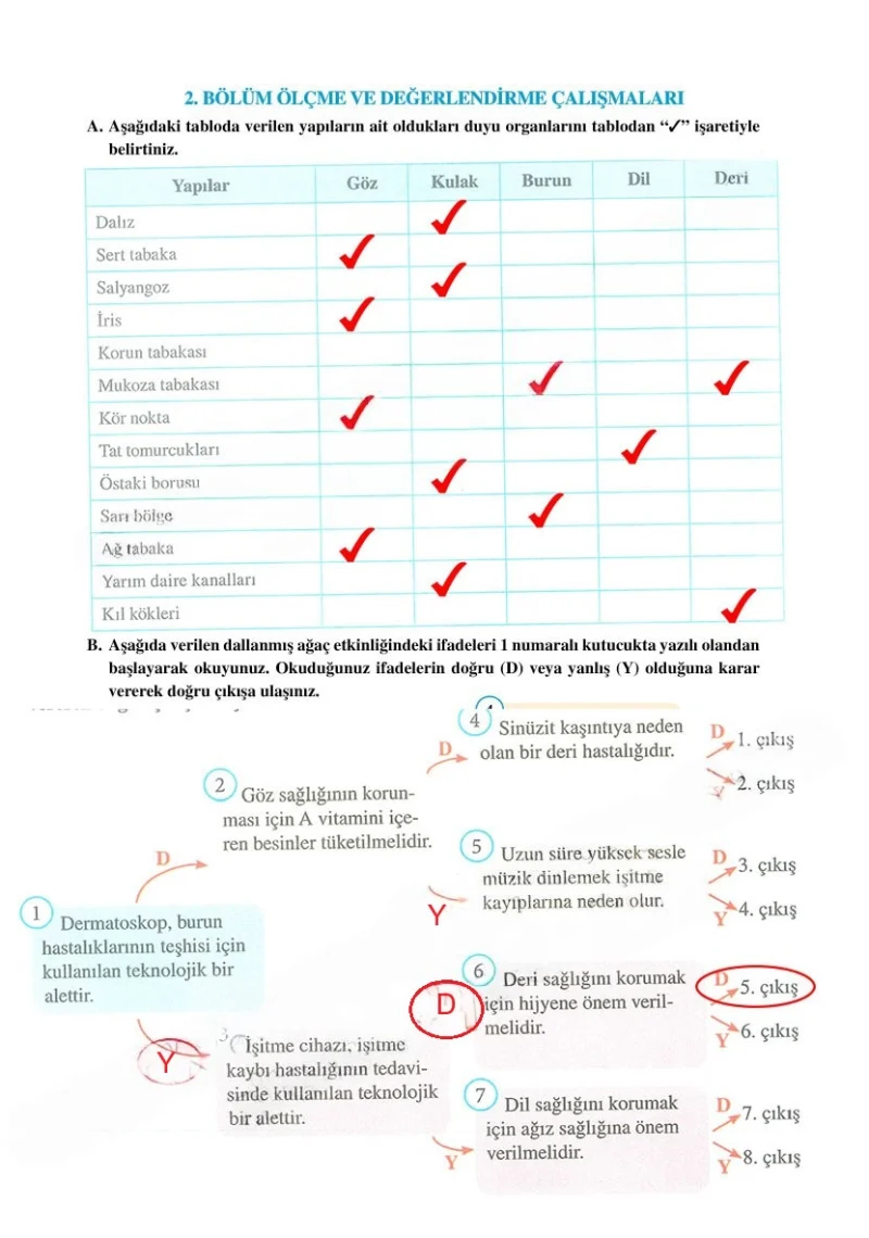6. Sınıf Fen Bilimleri Ders Kitabı Cevapları Adım Adım Yayınları Sayfa 207 Çözüm Görseli