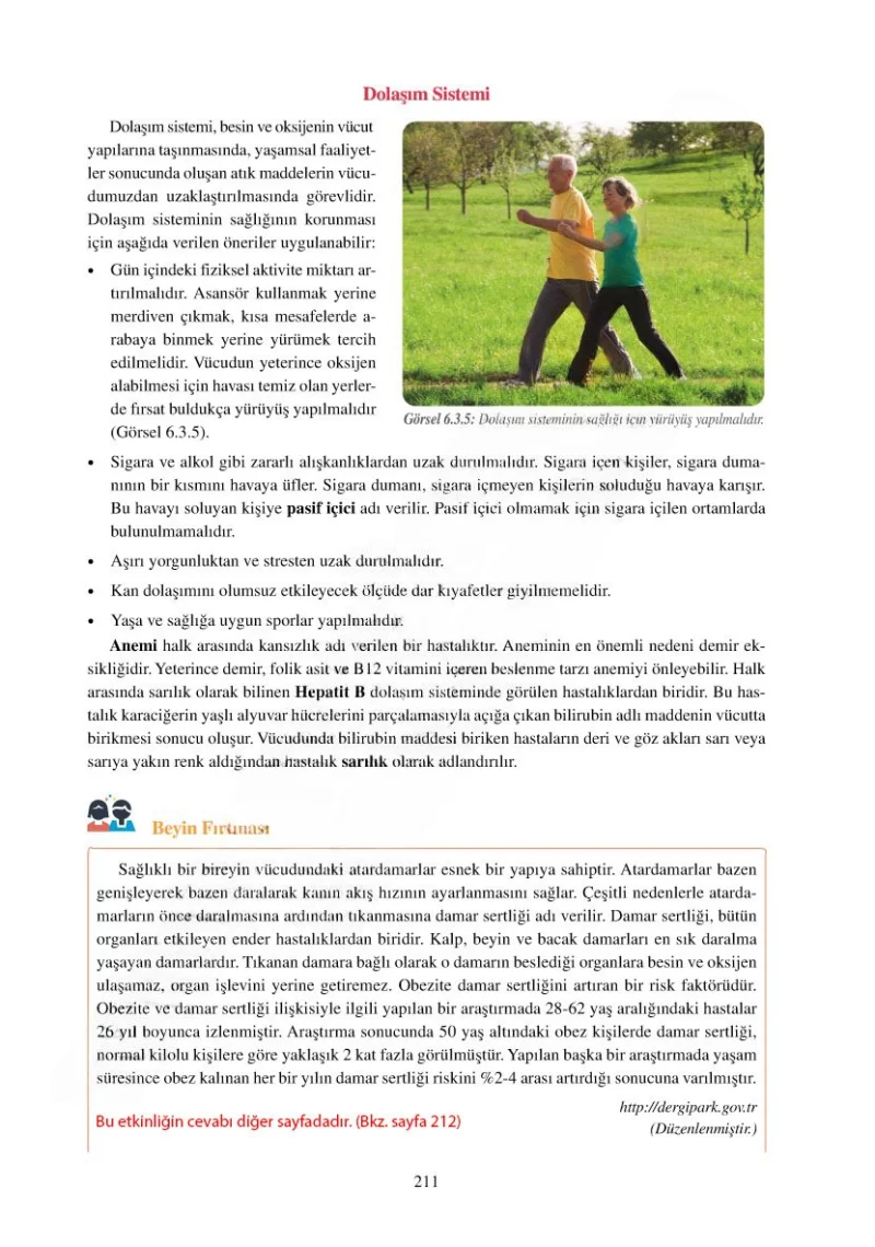 6. Sınıf Fen Bilimleri Ders Kitabı Cevapları Adım Adım Yayınları Sayfa 211 Çözüm Görseli