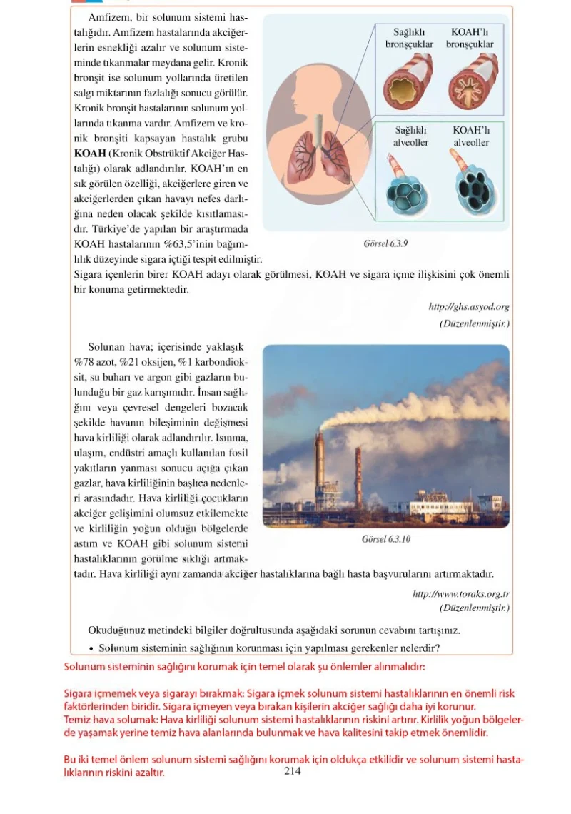 6. Sınıf Fen Bilimleri Ders Kitabı Cevapları Adım Adım Yayınları Sayfa 214 Çözüm Görseli