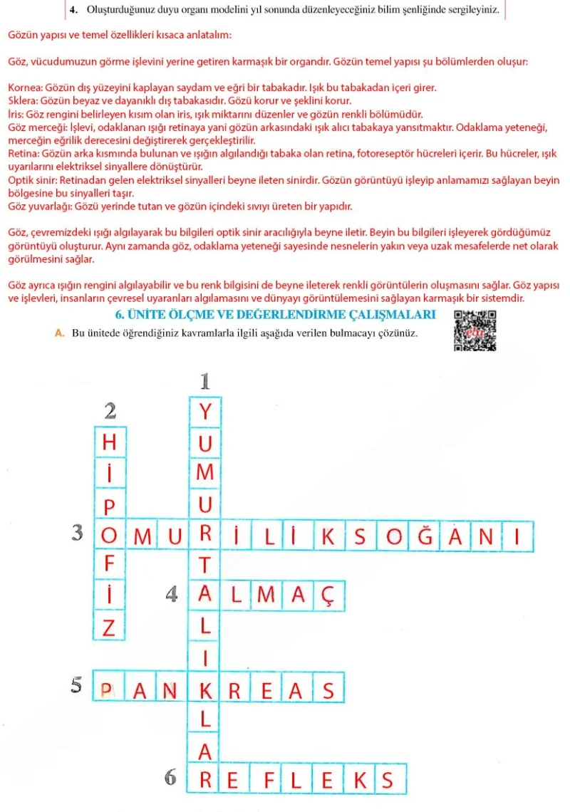 6. Sınıf Fen Bilimleri Ders Kitabı Cevapları Adım Adım Yayınları Sayfa 226 Çözüm Görseli