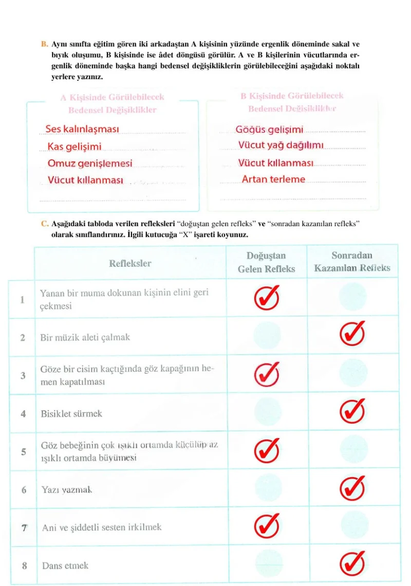 6. Sınıf Fen Bilimleri Ders Kitabı Cevapları Adım Adım Yayınları Sayfa 227 Çözüm Görseli