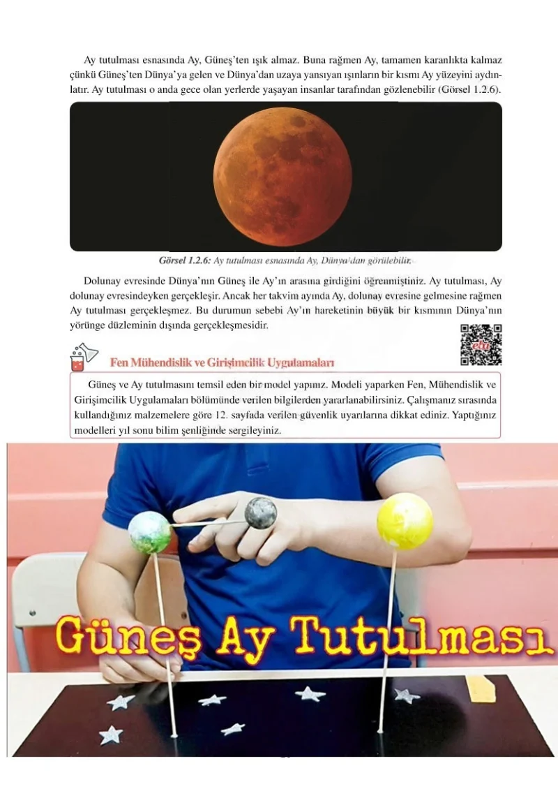6. Sınıf Fen Bilimleri Ders Kitabı Cevapları Adım Adım Yayınları Sayfa 28 Çözüm Görseli