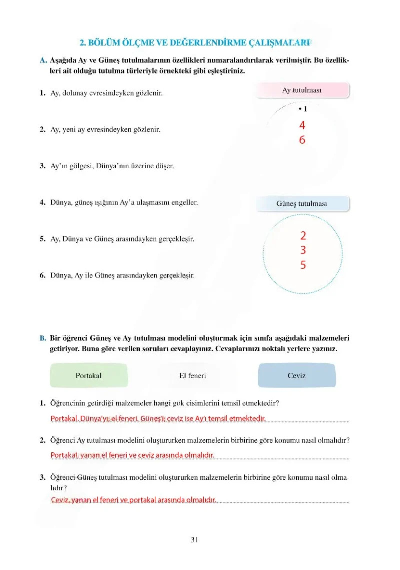 6. Sınıf Fen Bilimleri Ders Kitabı Cevapları Adım Adım Yayınları Sayfa 31 Çözüm Görseli