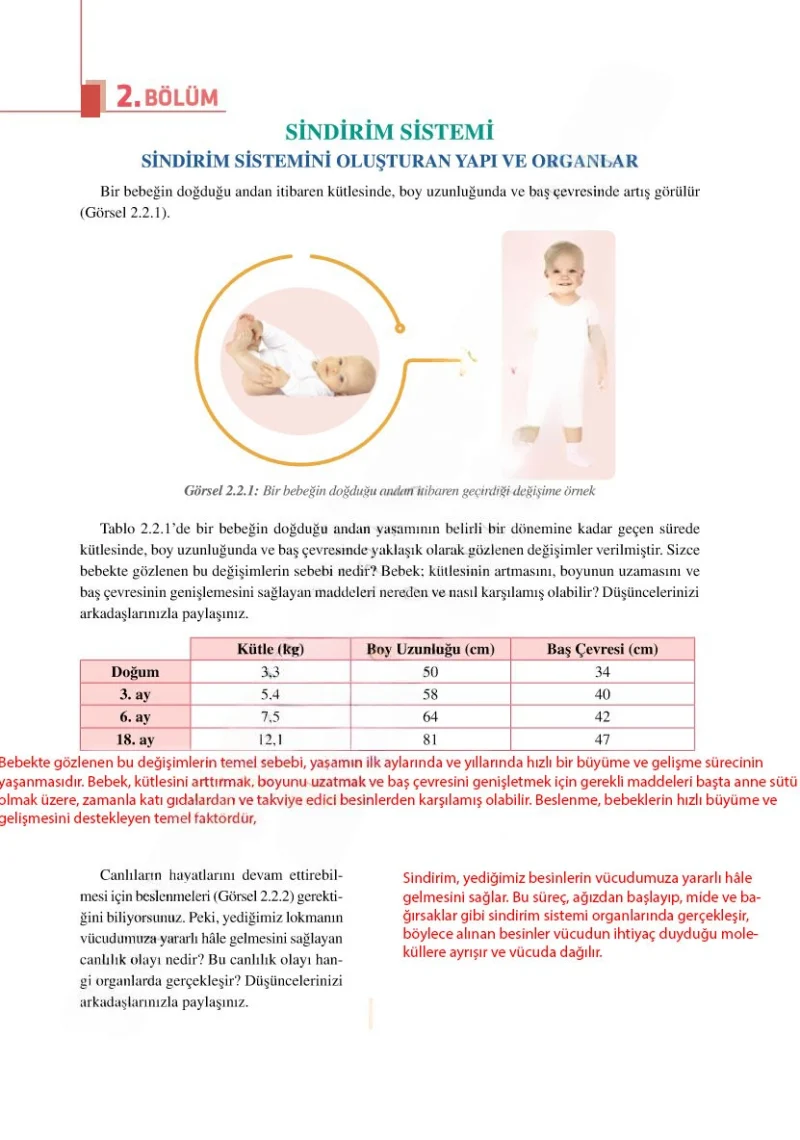 6. Sınıf Fen Bilimleri Ders Kitabı Cevapları Adım Adım Yayınları Sayfa 47 Çözüm Görseli