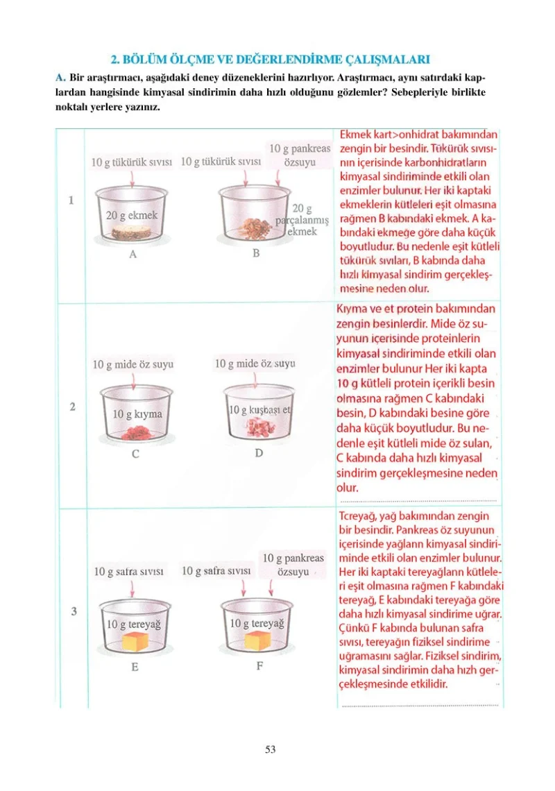 6. Sınıf Fen Bilimleri Ders Kitabı Cevapları Adım Adım Yayınları Sayfa 53 Çözüm Görseli