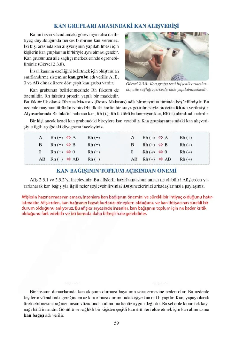 6. Sınıf Fen Bilimleri Ders Kitabı Cevapları Adım Adım Yayınları Sayfa 59 Çözüm Görseli