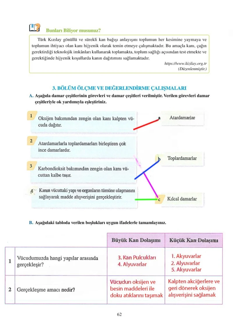 6. Sınıf Fen Bilimleri Ders Kitabı Cevapları Adım Adım Yayınları Sayfa 62 Çözüm Görseli
