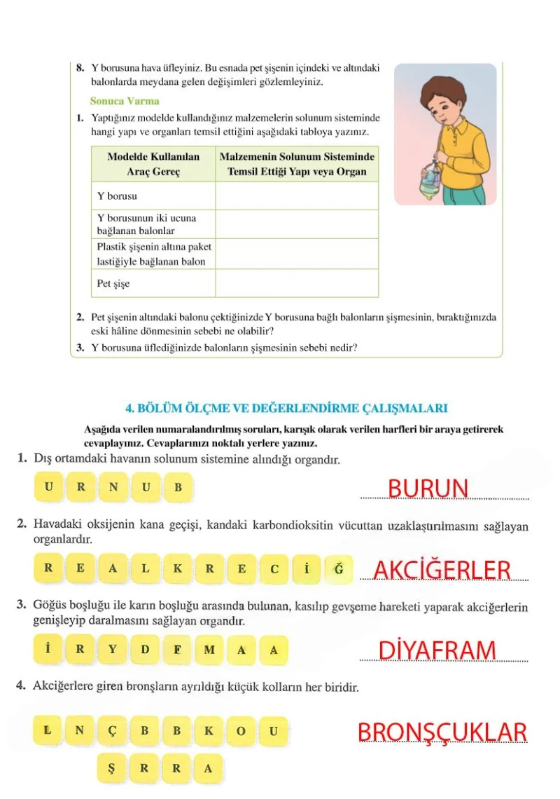 6. Sınıf Fen Bilimleri Ders Kitabı Cevapları Adım Adım Yayınları Sayfa 66 Çözüm Görseli