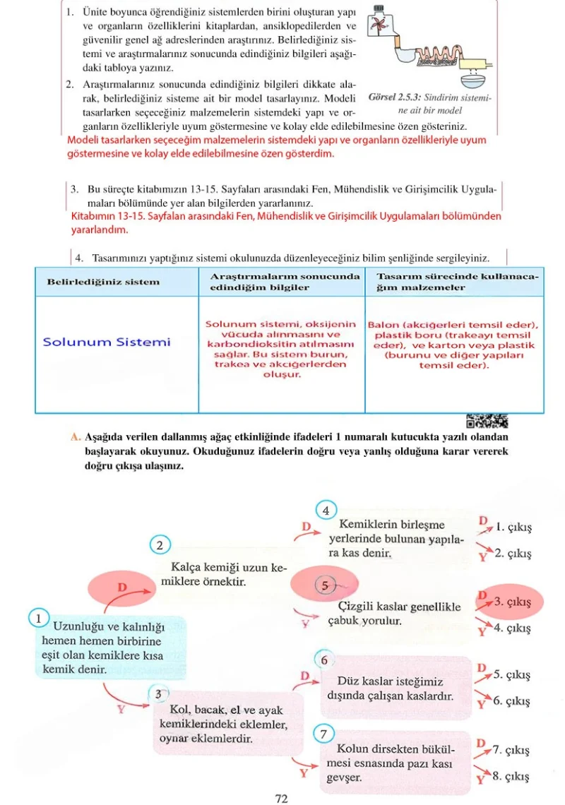 6. Sınıf Fen Bilimleri Ders Kitabı Cevapları Adım Adım Yayınları Sayfa 72 Çözüm Görseli