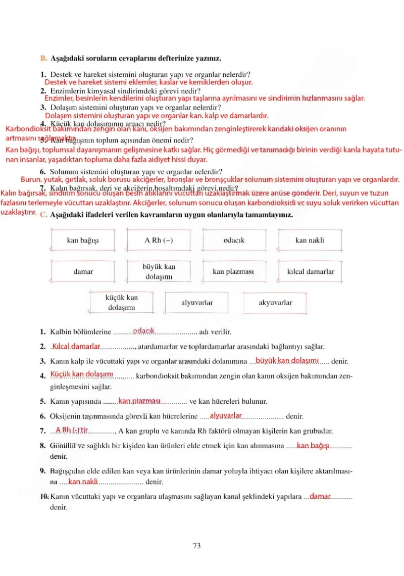 6. Sınıf Fen Bilimleri Ders Kitabı Cevapları Adım Adım Yayınları Sayfa 73 Çözüm Görseli