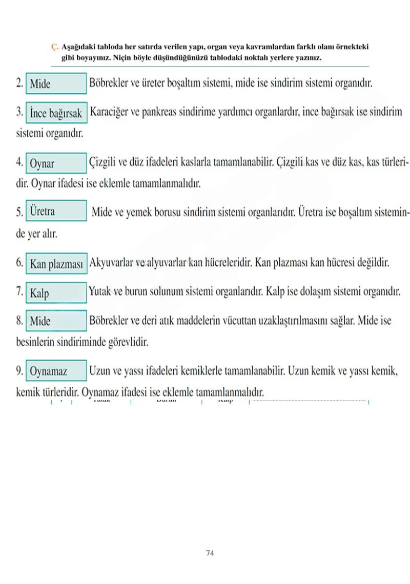 6. Sınıf Fen Bilimleri Ders Kitabı Cevapları Adım Adım Yayınları Sayfa 74 Çözüm Görseli
