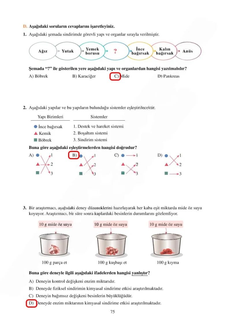 6. Sınıf Fen Bilimleri Ders Kitabı Cevapları Adım Adım Yayınları Sayfa 75 Çözüm Görseli