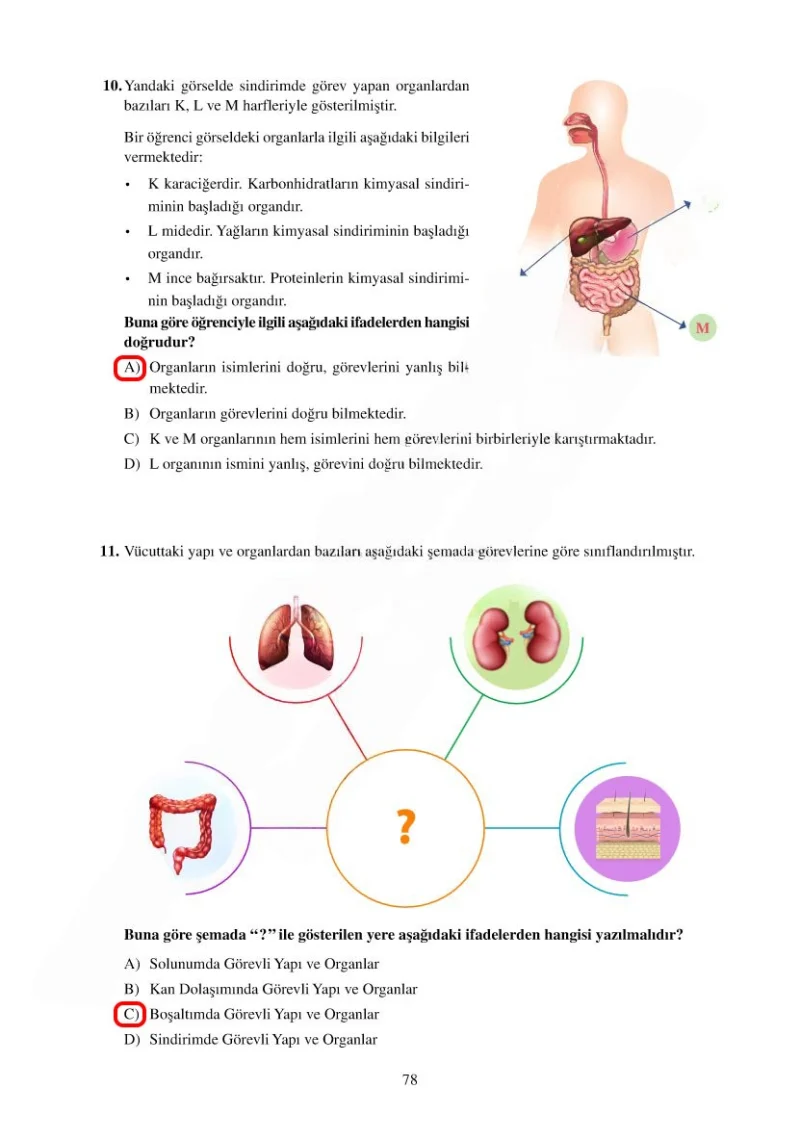 6. Sınıf Fen Bilimleri Ders Kitabı Cevapları Adım Adım Yayınları Sayfa 78 Çözüm Görseli