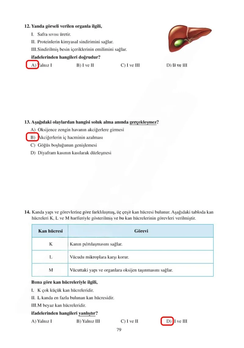 6. Sınıf Fen Bilimleri Ders Kitabı Cevapları Adım Adım Yayınları Sayfa 79 Çözüm Görseli