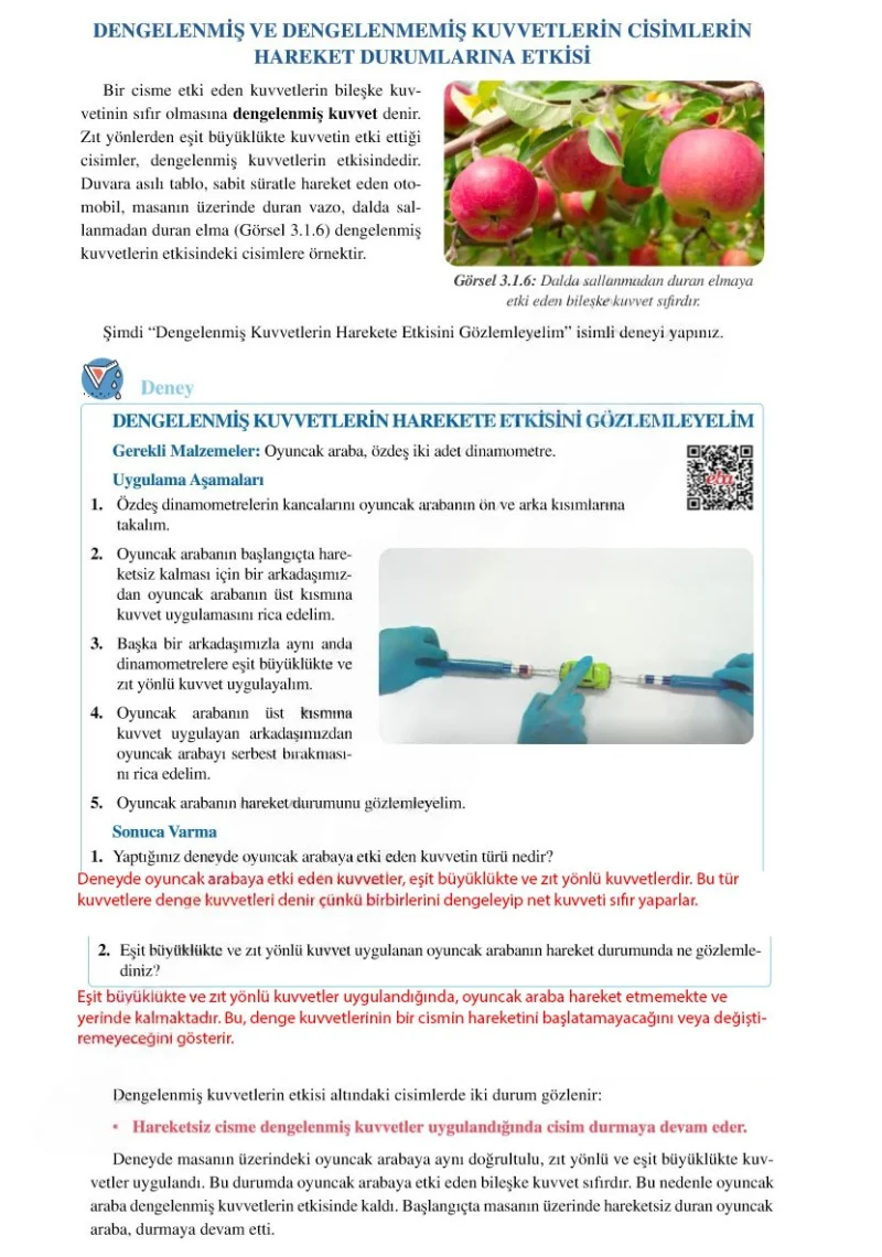 6. Sınıf Fen Bilimleri Ders Kitabı Cevapları Adım Adım Yayınları Sayfa 91 Çözüm Görseli