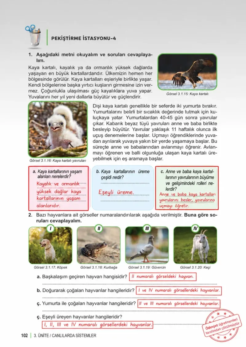 6. Sınıf Fen Bilimleri Ders Kitabı Cevapları Meb Yayınları 1. Kitap Sayfa 102 Çözüm Görseli