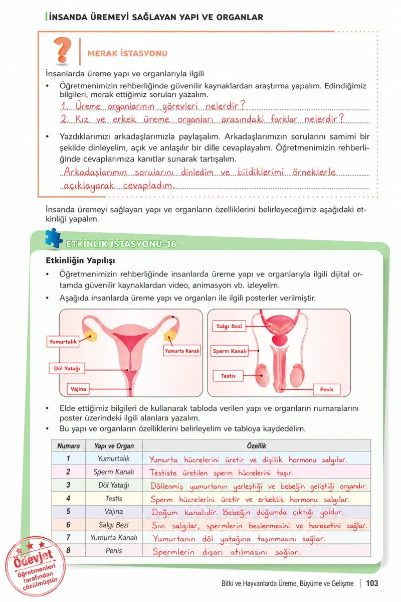 6. Sınıf Fen Bilimleri Ders Kitabı Cevapları Meb Yayınları 1. Kitap Sayfa 103 Çözüm Görseli