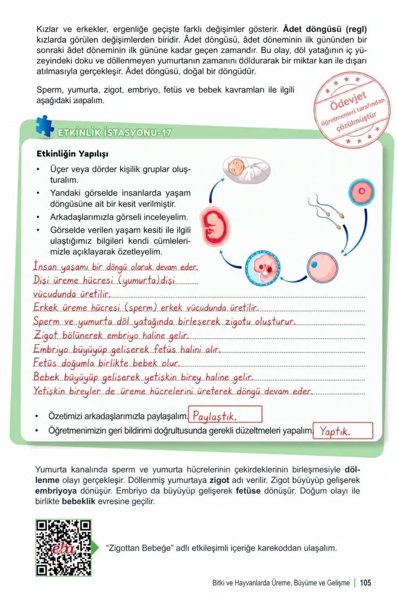 6. Sınıf Fen Bilimleri Ders Kitabı Cevapları Meb Yayınları 1. Kitap Sayfa 105 Çözüm Görseli