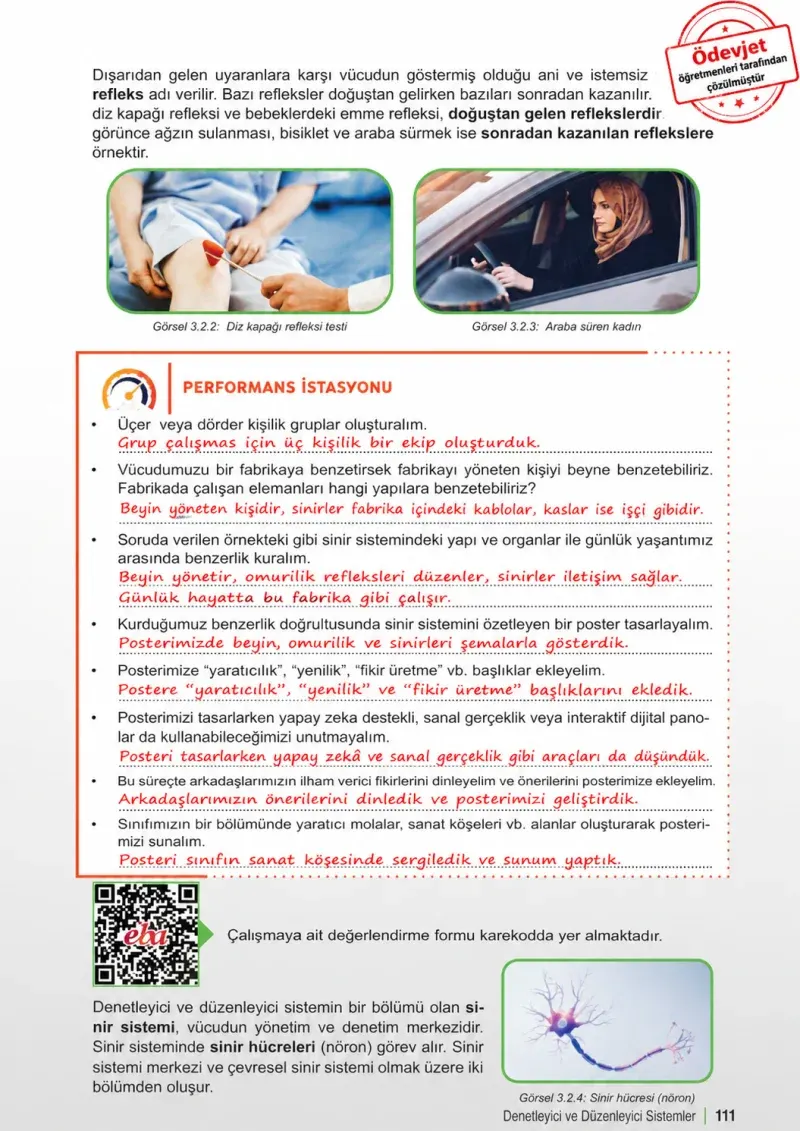6. Sınıf Fen Bilimleri Ders Kitabı Cevapları Meb Yayınları 1. Kitap Sayfa 111 Çözüm Görseli