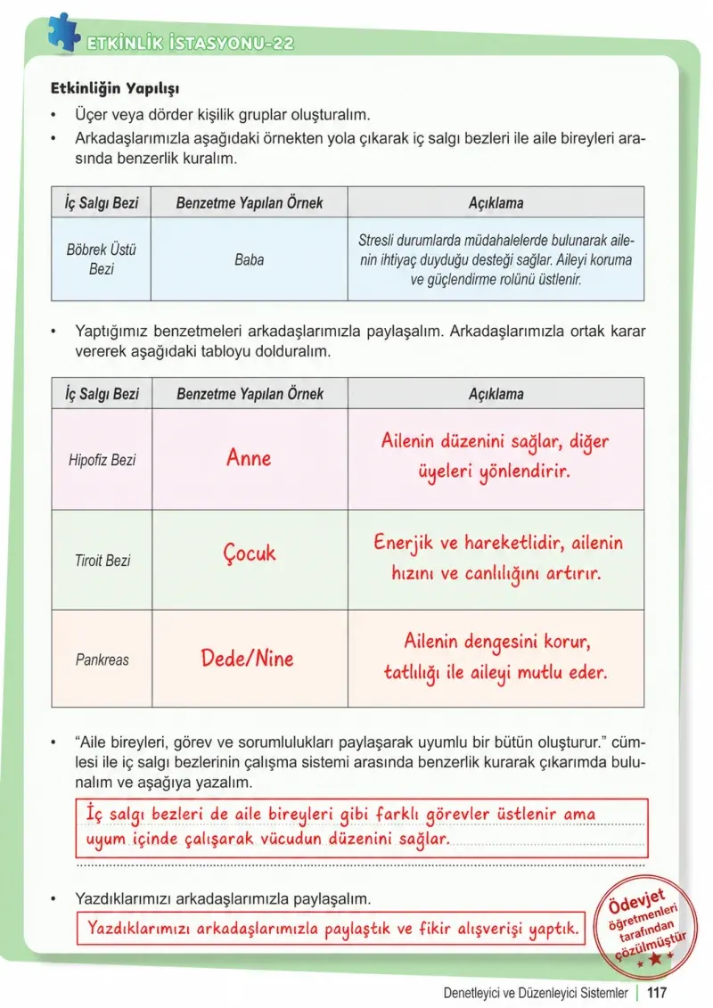 6. Sınıf Fen Bilimleri Ders Kitabı Cevapları Meb Yayınları 1. Kitap Sayfa 117 Çözüm Görseli