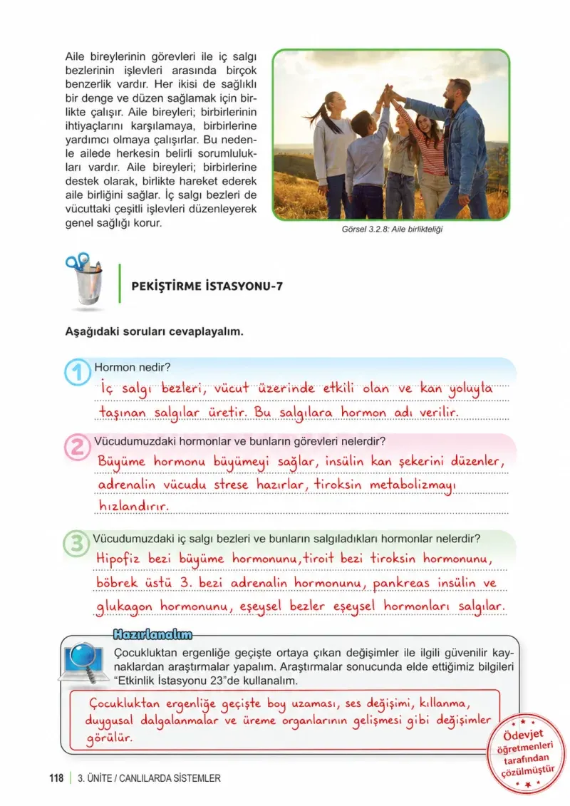 6. Sınıf Fen Bilimleri Ders Kitabı Cevapları Meb Yayınları 1. Kitap Sayfa 118 Çözüm Görseli