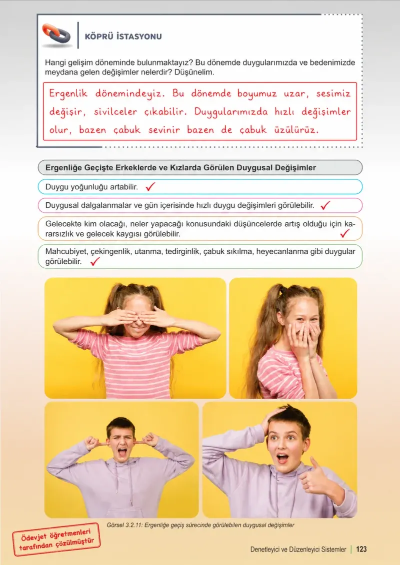 6. Sınıf Fen Bilimleri Ders Kitabı Cevapları Meb Yayınları 1. Kitap Sayfa 123 Çözüm Görseli