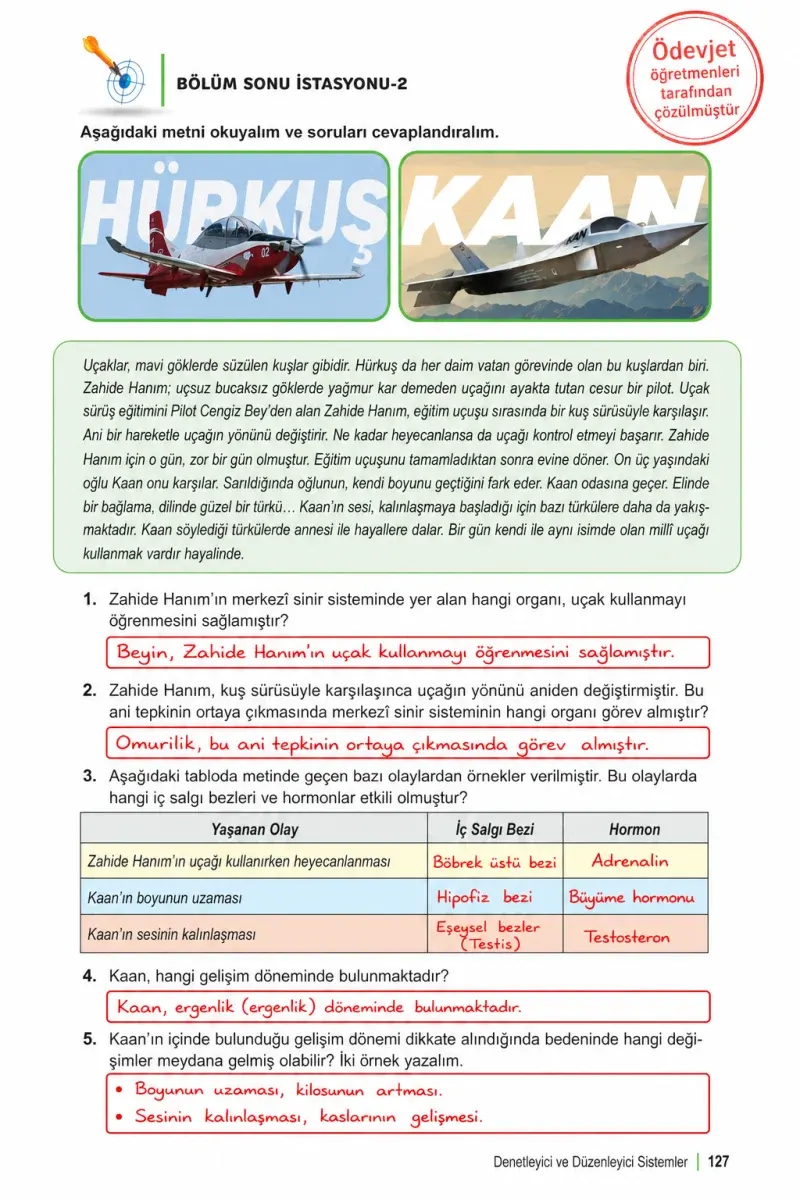 6. Sınıf Fen Bilimleri Ders Kitabı Cevapları Meb Yayınları 1. Kitap Sayfa 127 Çözüm Görseli