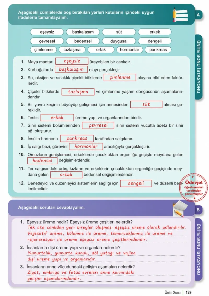 6. Sınıf Fen Bilimleri Ders Kitabı Cevapları Meb Yayınları 1. Kitap Sayfa 129 Çözüm Görseli