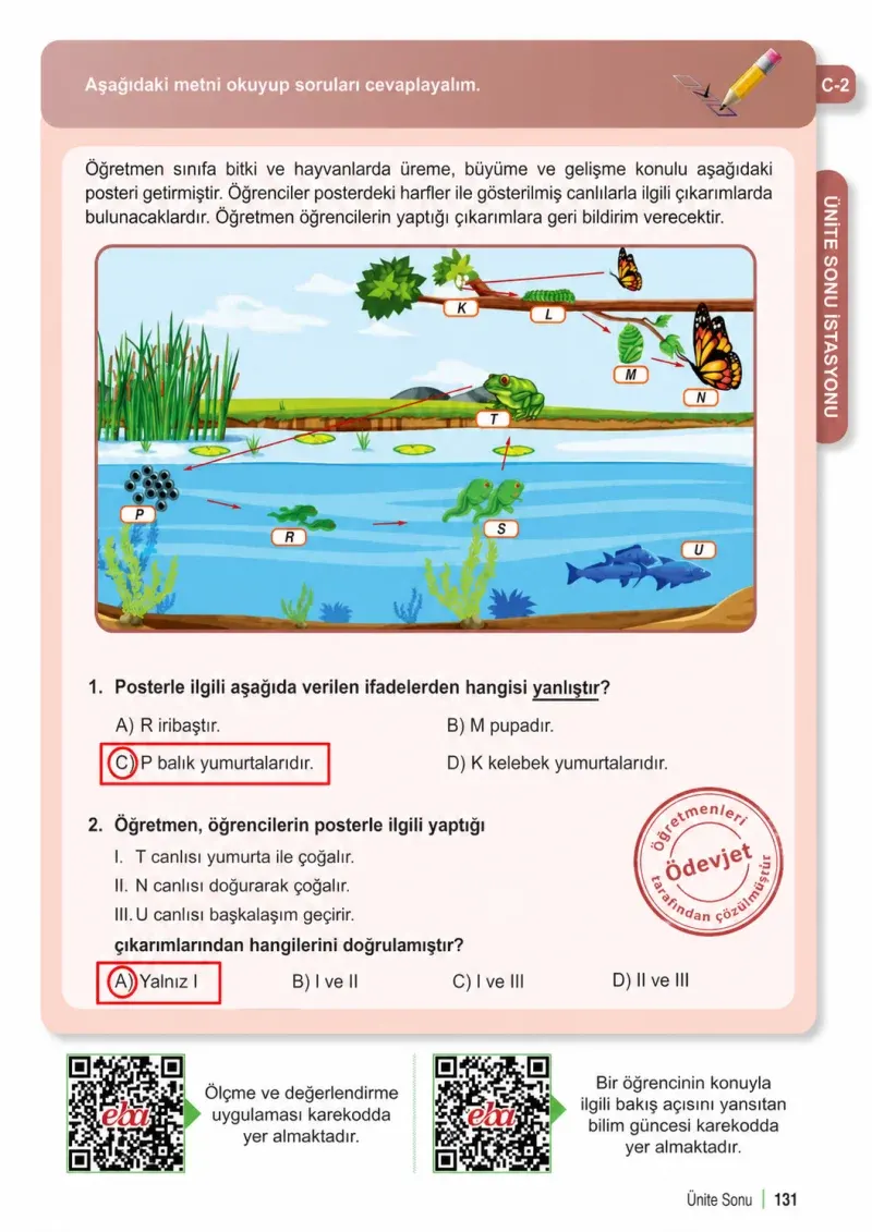 6. Sınıf Fen Bilimleri Ders Kitabı Cevapları Meb Yayınları 1. Kitap Sayfa 131 Çözüm Görseli