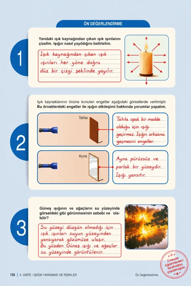 6. Sınıf Fen Bilimleri Ders Kitabı Cevapları Meb Yayınları 1. Kitap Sayfa 134 Çözüm Görseli