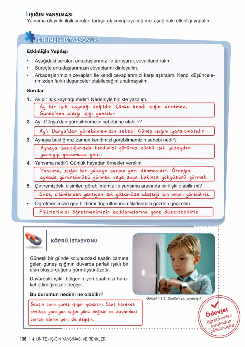 6. Sınıf Fen Bilimleri Ders Kitabı Cevapları Meb Yayınları 1. Kitap Sayfa 136 Çözüm Görseli