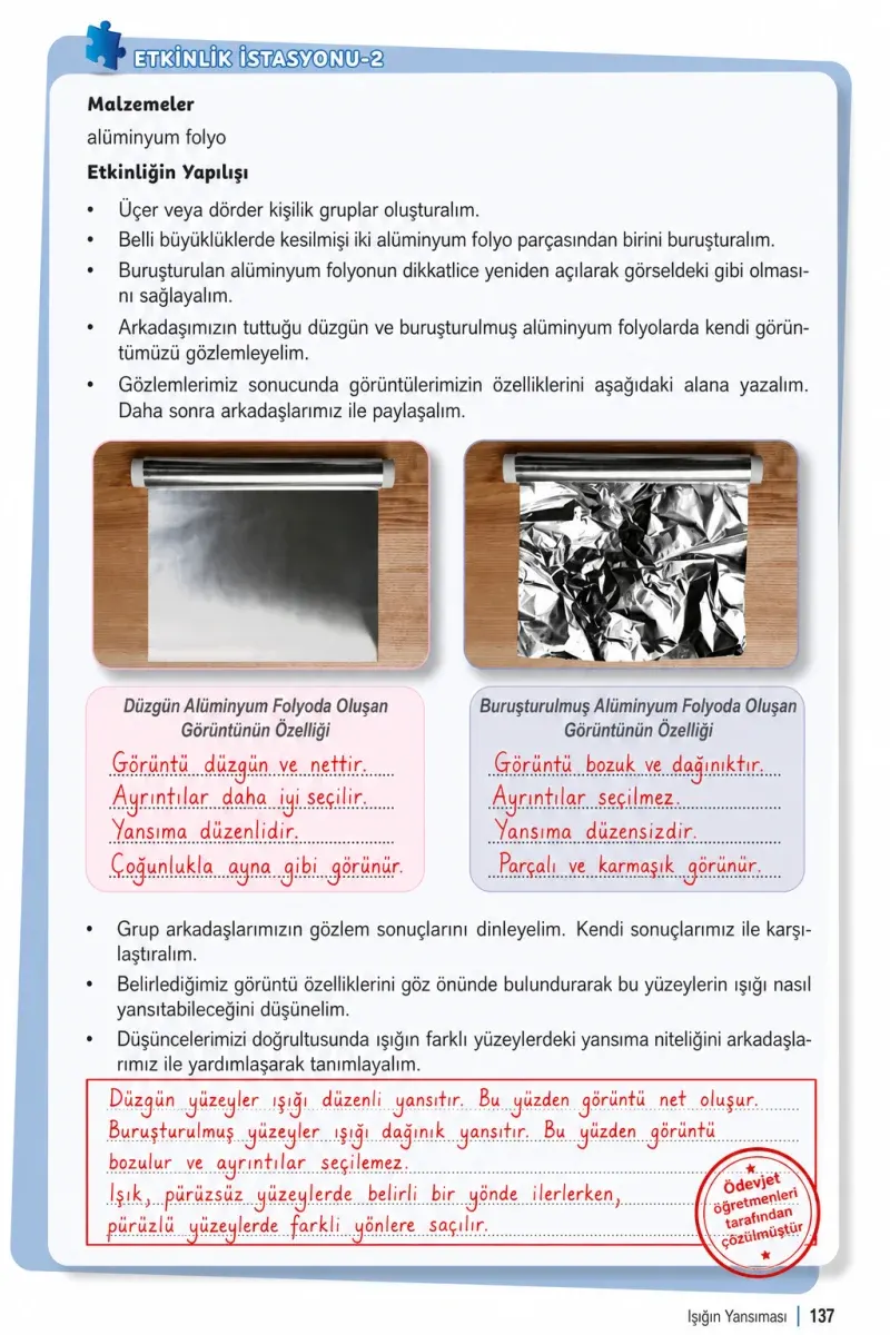 6. Sınıf Fen Bilimleri Ders Kitabı Cevapları Meb Yayınları 1. Kitap Sayfa 137 Çözüm Görseli