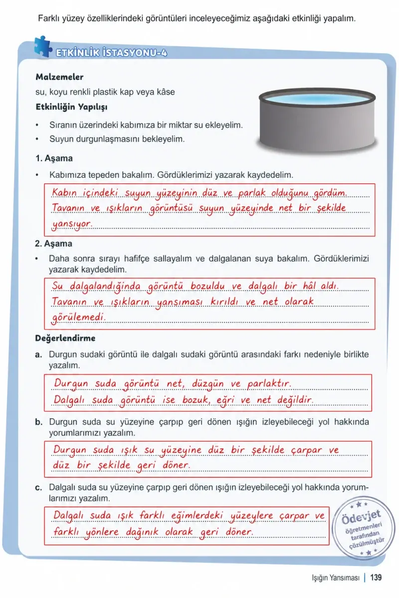 6. Sınıf Fen Bilimleri Ders Kitabı Cevapları Meb Yayınları 1. Kitap Sayfa 139 Çözüm Görseli