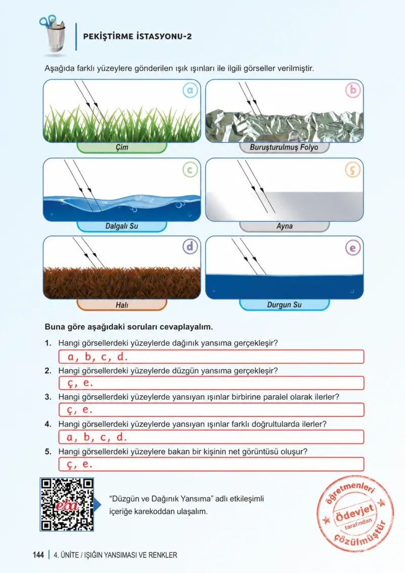 6. Sınıf Fen Bilimleri Ders Kitabı Cevapları Meb Yayınları 1. Kitap Sayfa 144 Çözüm Görseli